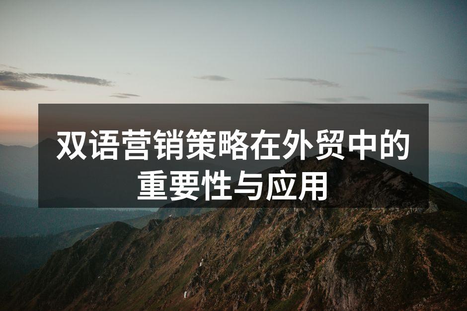 双语营销策略在外贸中的重要性与应用