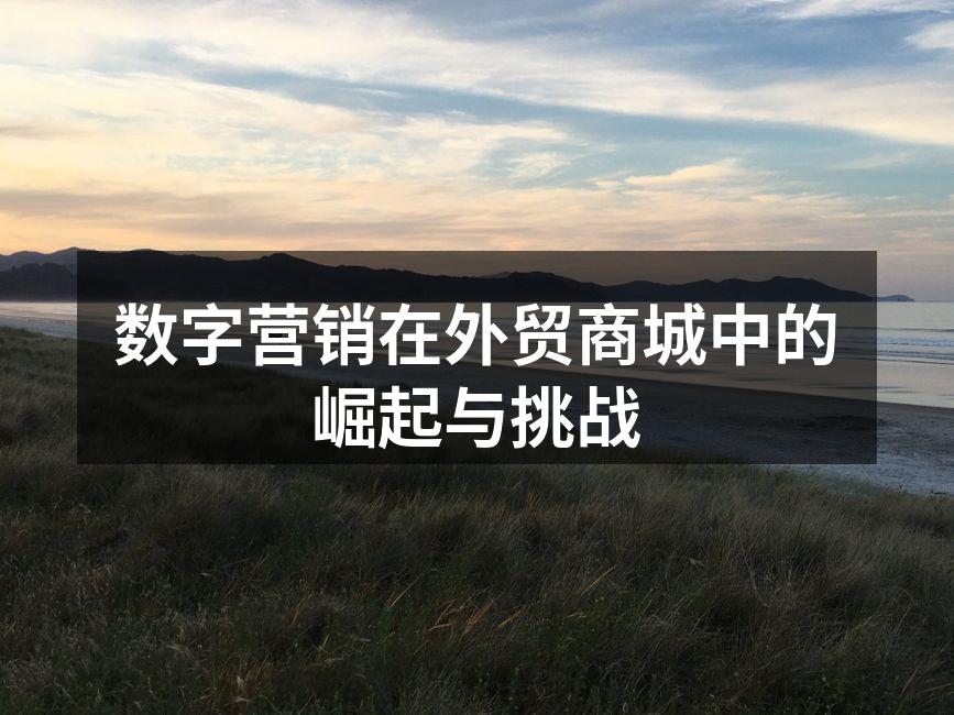 数字营销在外贸商城中的崛起与挑战