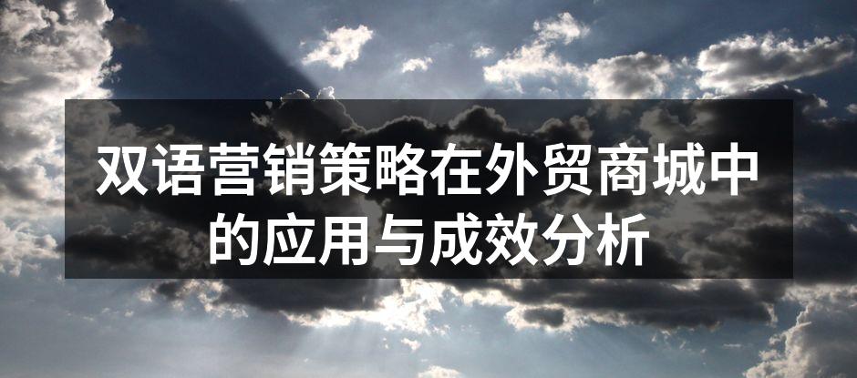 双语营销策略在外贸商城中的应用与成效分析
