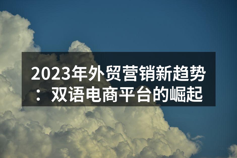 2023年外贸营销新趋势：双语电商平台的崛起