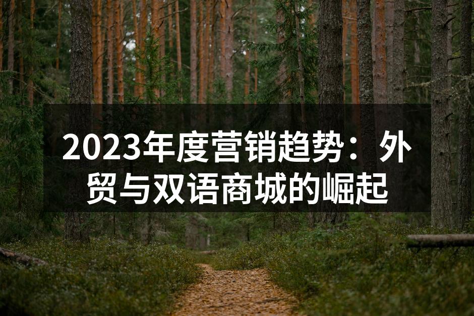 2023年度营销趋势：外贸与双语商城的崛起