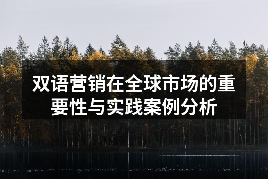 双语营销在全球市场的重要性与实践案例分析