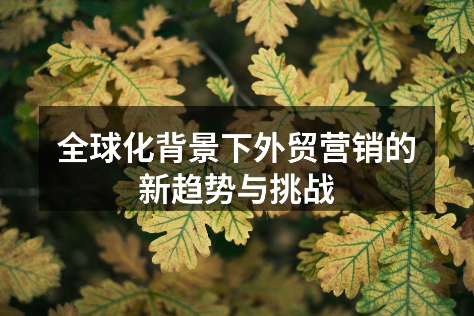 全球化背景下外贸营销的新趋势与挑战
