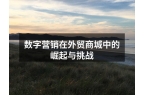 数字营销在外贸商城中的崛起与挑战