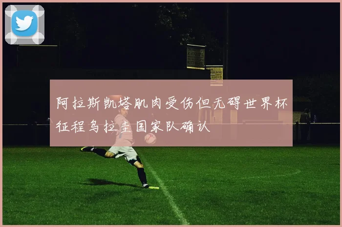 阿拉斯凯塔肌肉受伤但无碍世界杯征程乌拉圭国家队确认