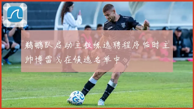 鹈鹕队启动主教练选聘程序临时主帅博雷戈在候选名单中