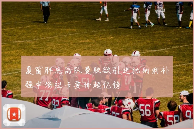 夏窗胖虎离队曼联欲引进托纳利补强中场纽卡要价超亿镑